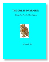 The Owl in Daylight