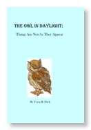 Tessa Dick Owl in Daylight